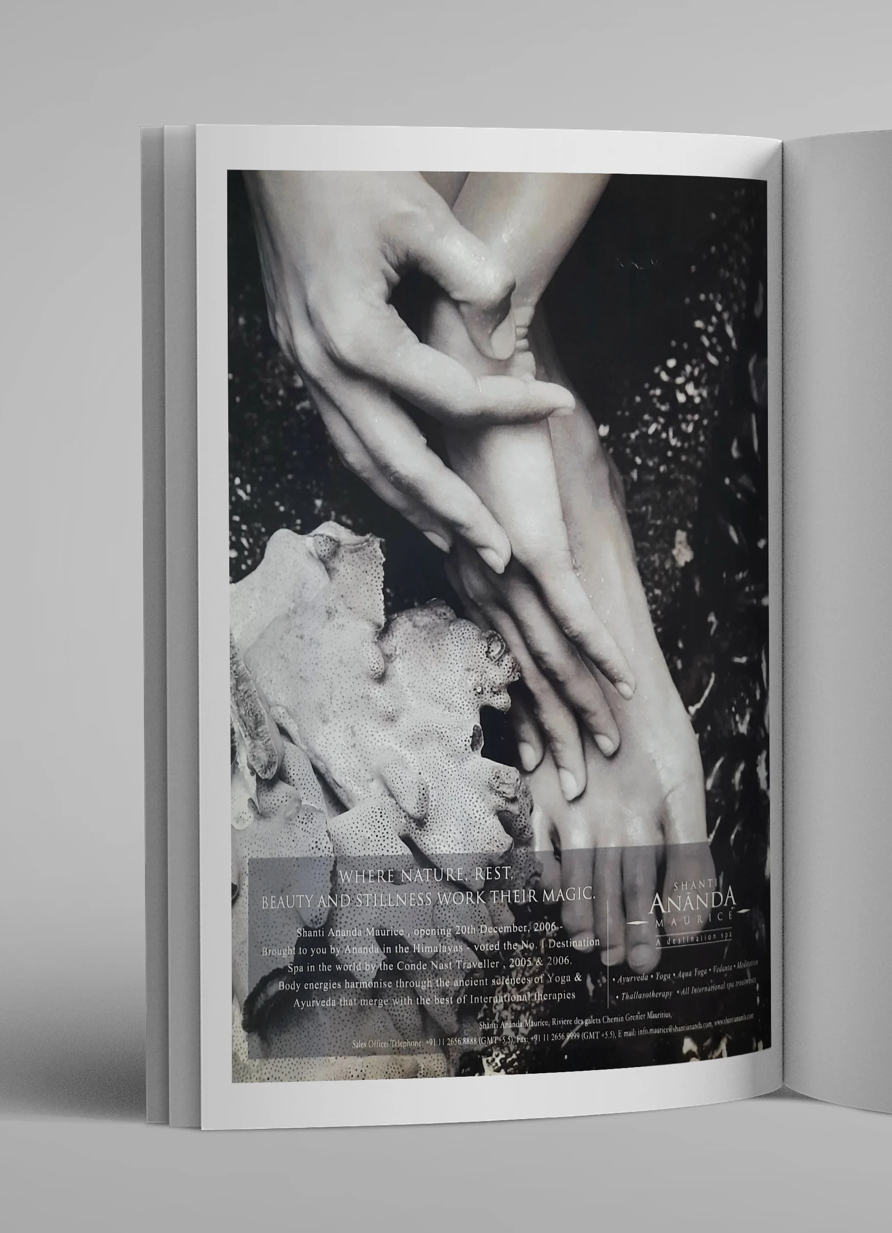 Ananda — image 5