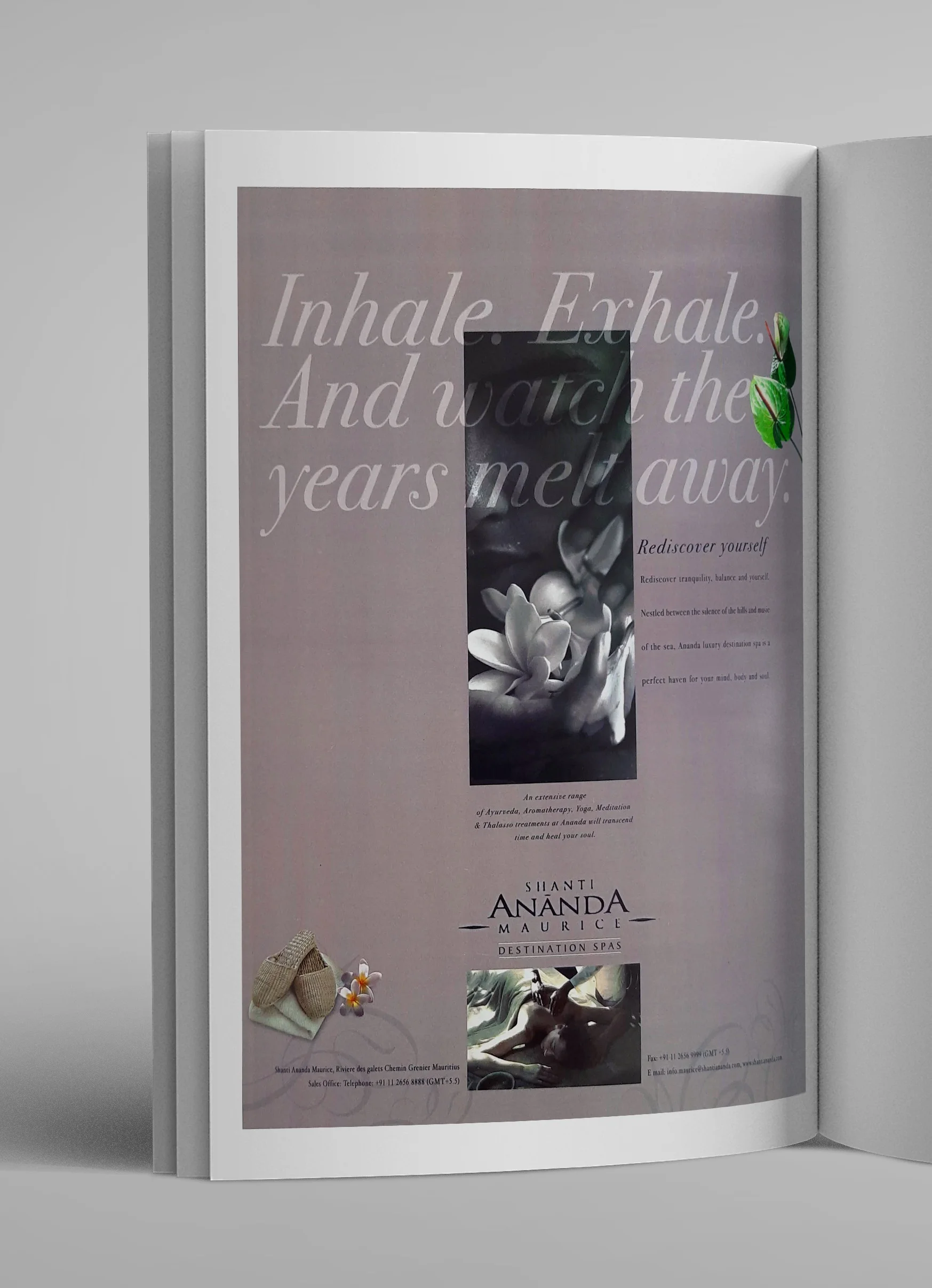 Ananda — image 6