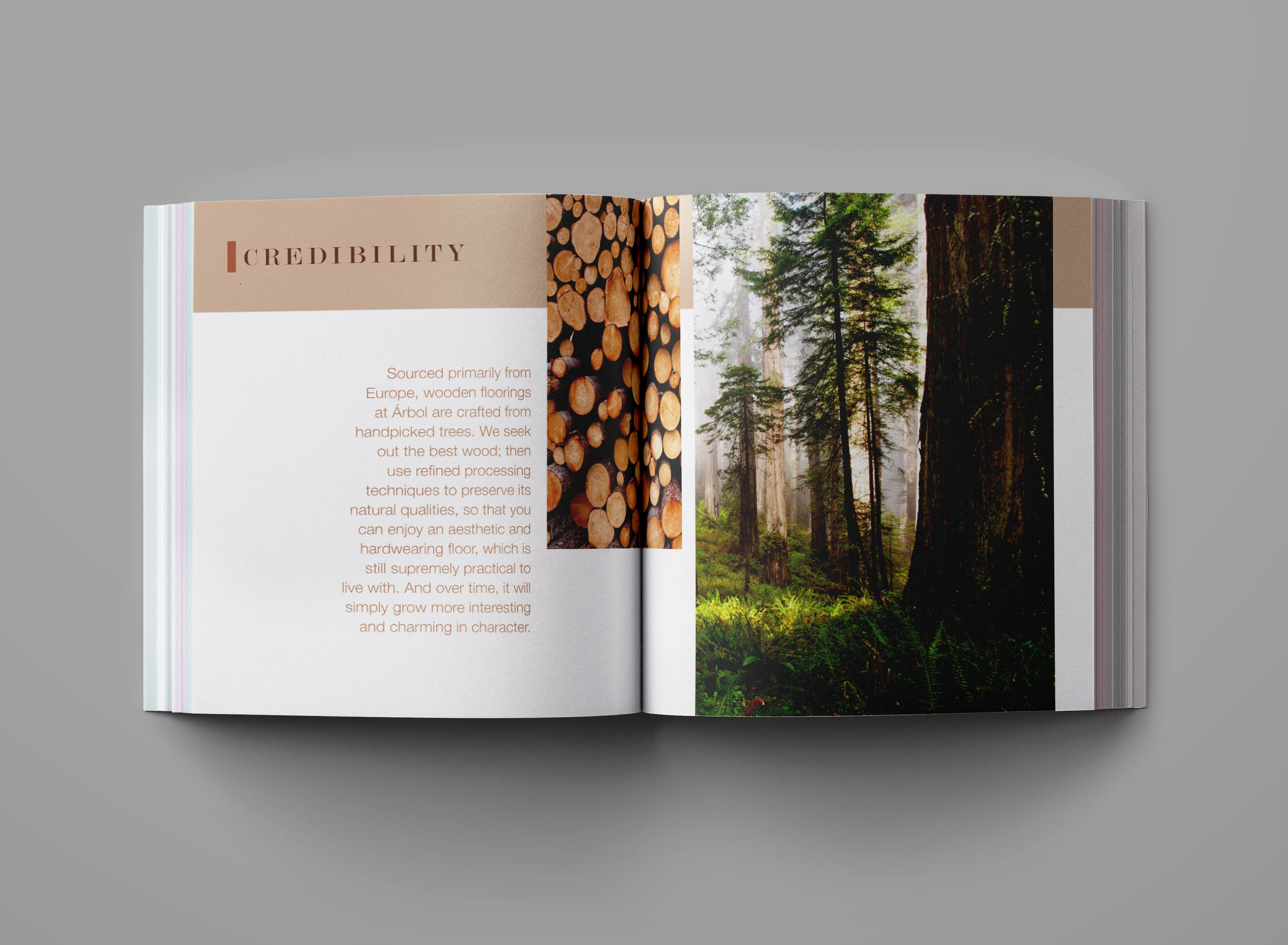 Arbol — image 3