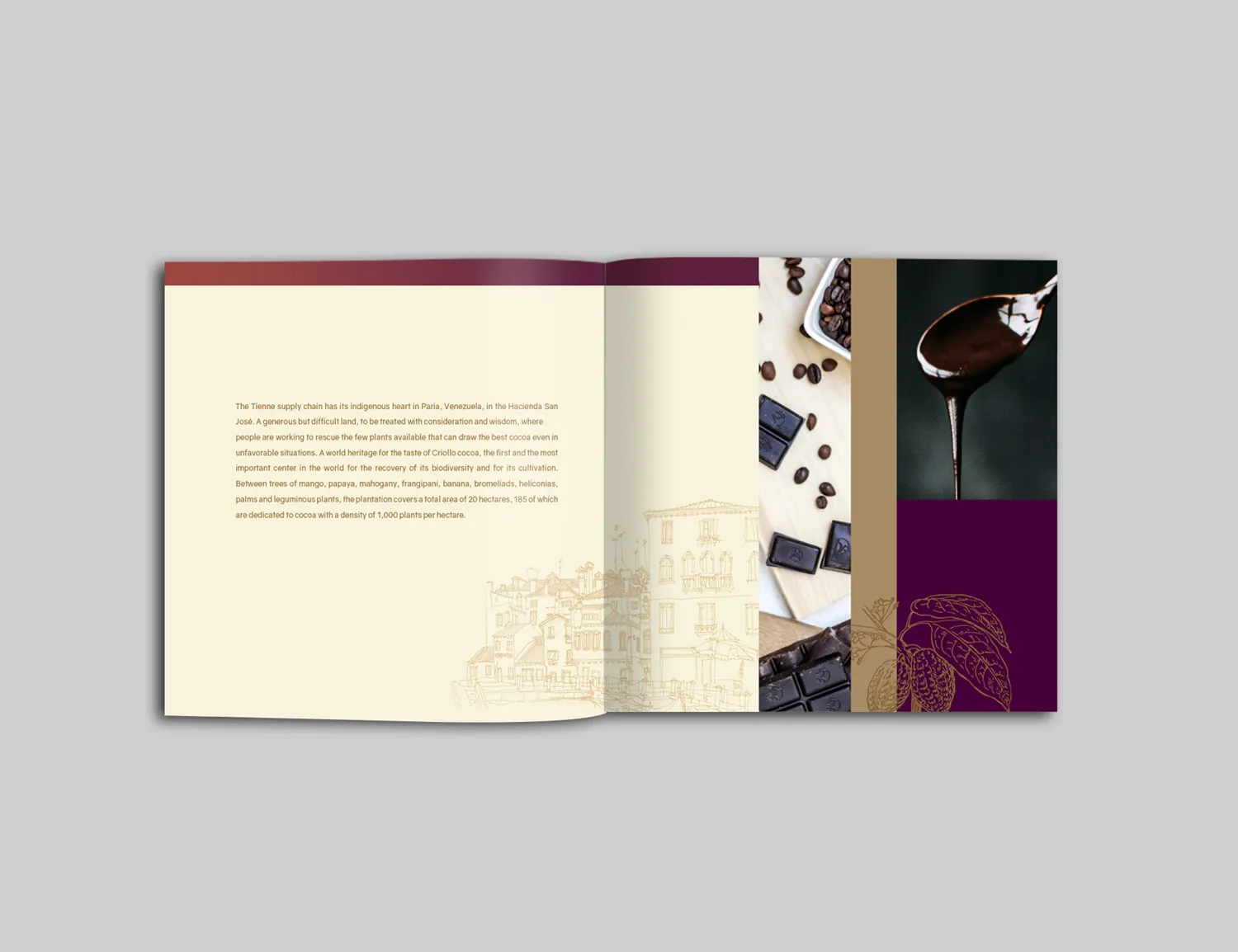 Tienne Chocolates — image 4